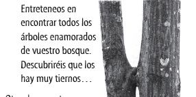 Nº 77: Árboles con Personalidad - Imagen 4