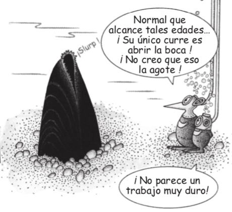 Nº 89: Las Náyades (Mejillón de Río) - Imagen 8
