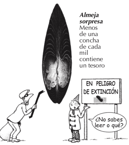 Nº 89: Las Náyades (Mejillón de Río) - Imagen 4