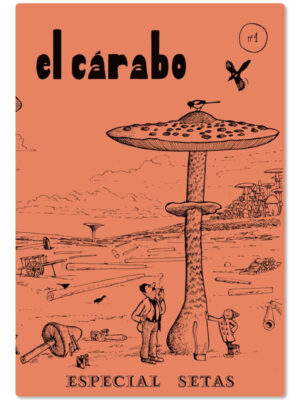 Nº 1: Especial Setas