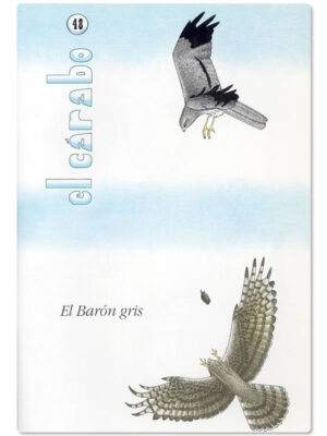 Nº 48: El Aguilucho Cenizo