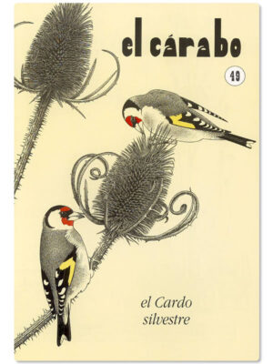 Nº 49: El Cardo Silvestre