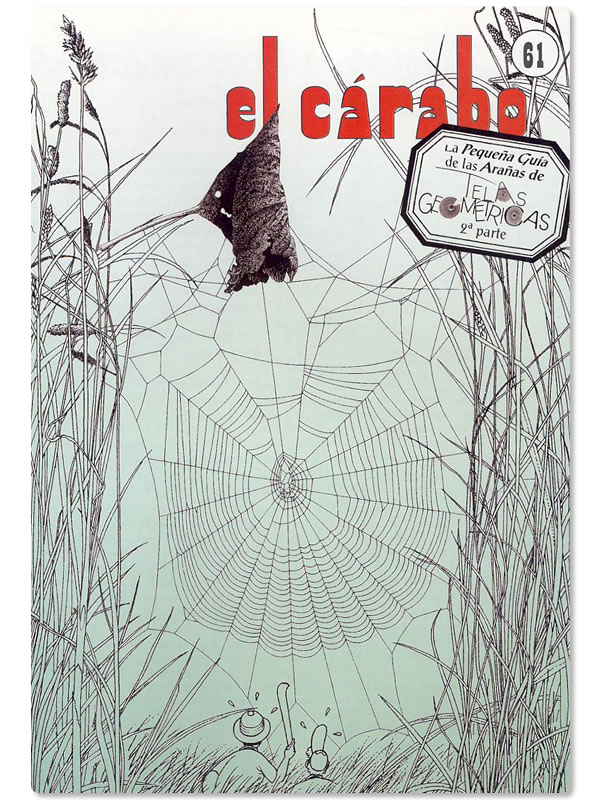 Nº 61: Arañas